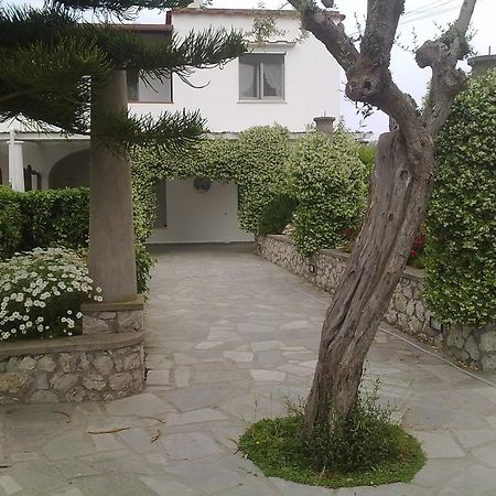 Il Merlo Anacapri  Bagian luar foto