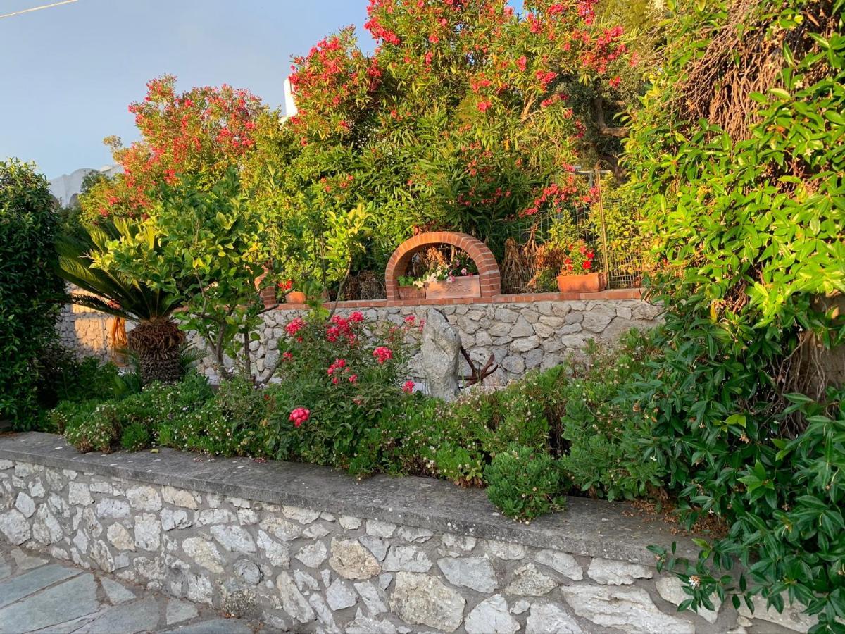 Il Merlo Anacapri  Bagian luar foto