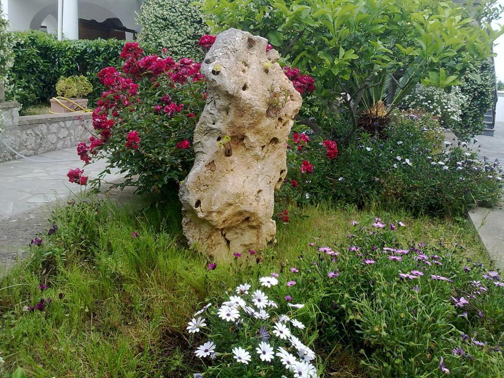 Il Merlo Anacapri  Bagian luar foto
