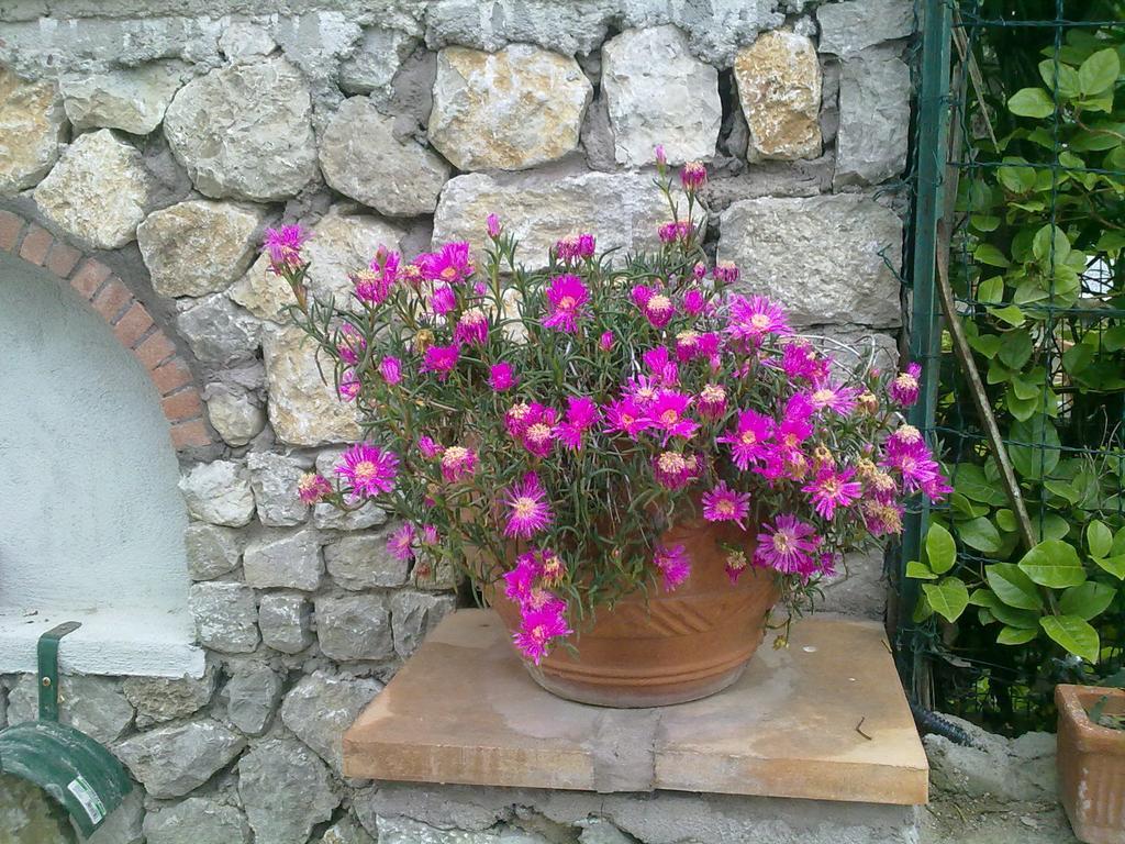 Il Merlo Anacapri  Bagian luar foto