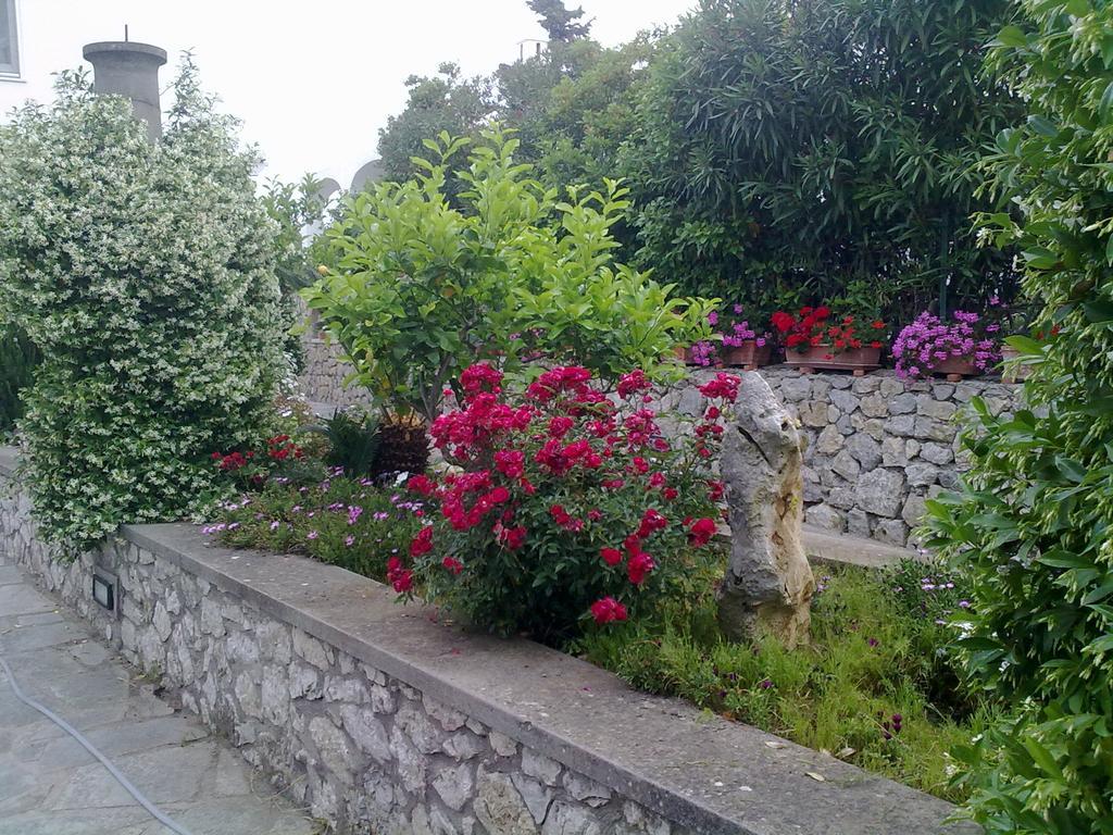 Il Merlo Anacapri  Bagian luar foto