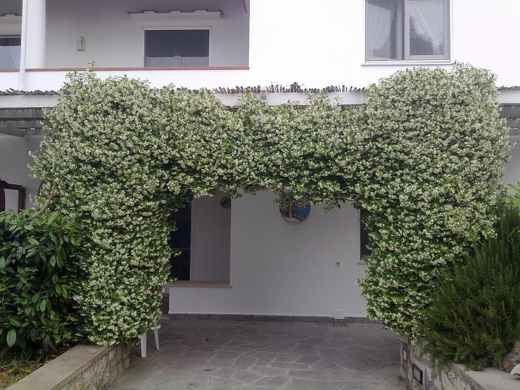 Il Merlo Anacapri  Bagian luar foto